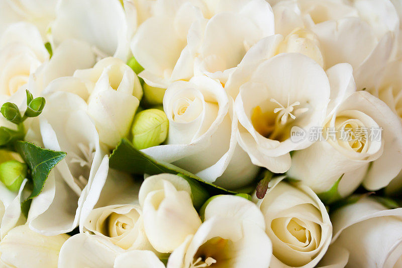 白玫瑰新娘花婚礼花束