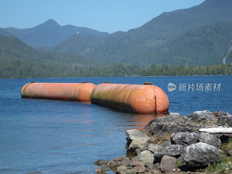 西海岸沙滩