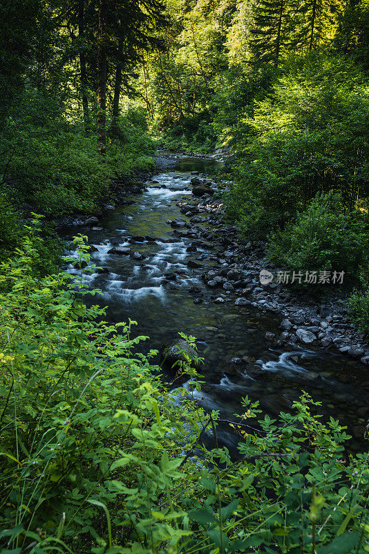 鹰溪，哥伦比亚河峡谷