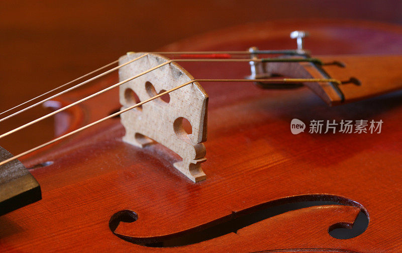 小提琴桥和f孔