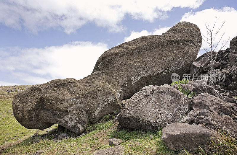 复活节岛南海岸倒下的摩埃石像