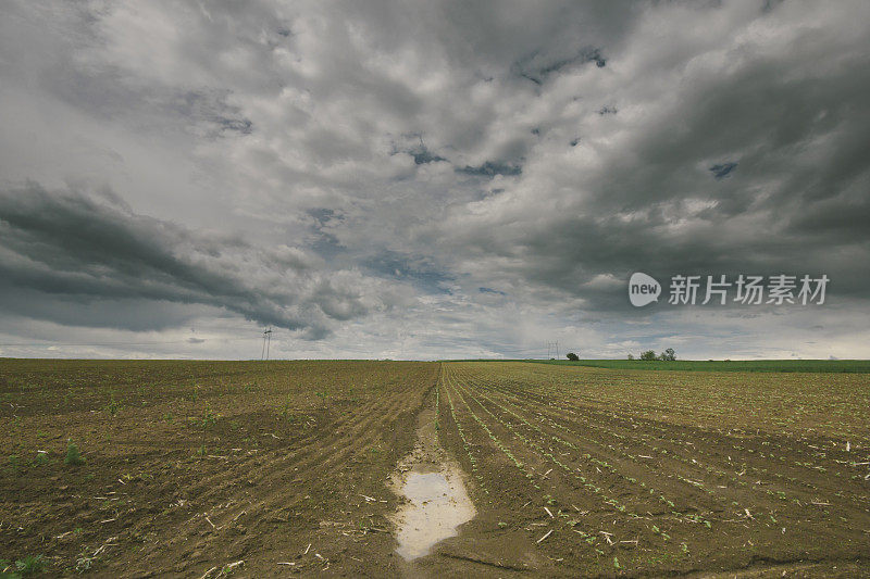 春季多云、雨天的农田