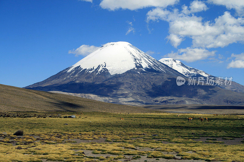 智利的帕利纳科塔火山-景观