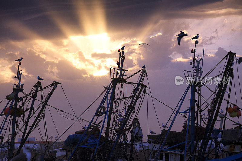渔业:日落时拖网渔船