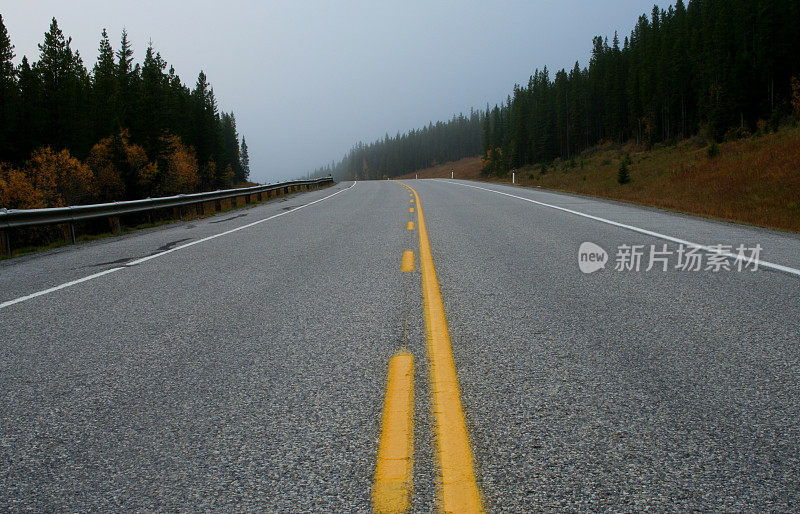 森林中的公路