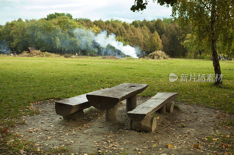 秋天的林间空地