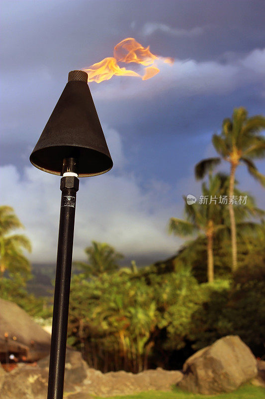 提基火炬和夏威夷风景