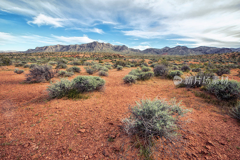 纳瓦达沙漠火谷州立公园