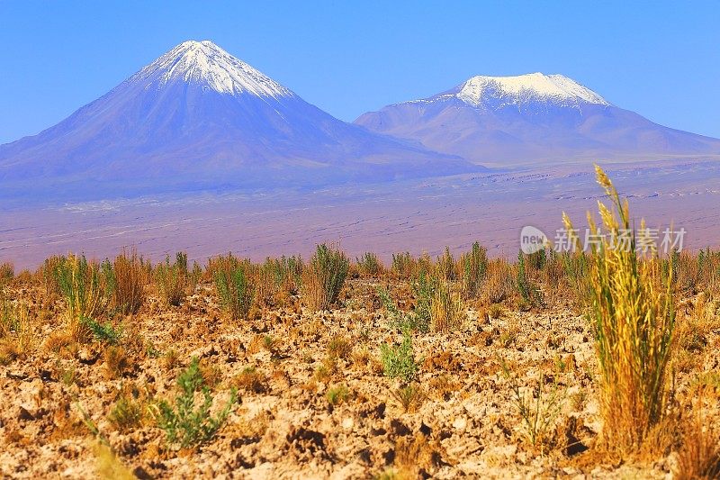 戏剧性的景观:利坎卡武尔和Miniques雪山火山和田诗式的阿塔卡马沙漠草原，火山景观全景-圣佩德罗阿塔卡马，智利，Bolívia和阿根廷边境