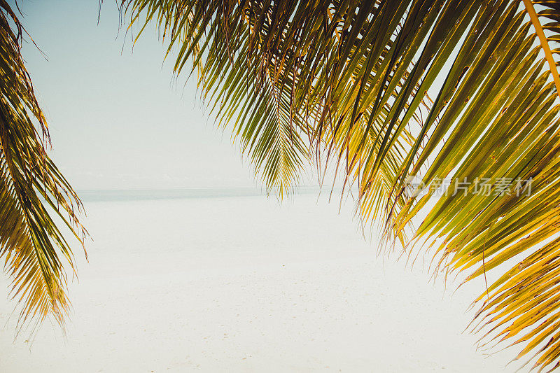 棕榈树和海滩，马尔代夫