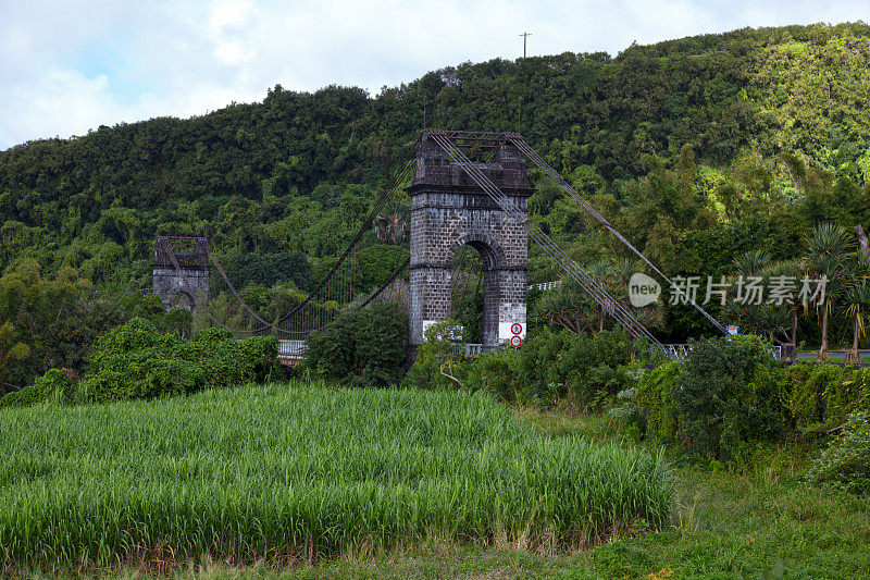 留尼汪岛东河悬索桥