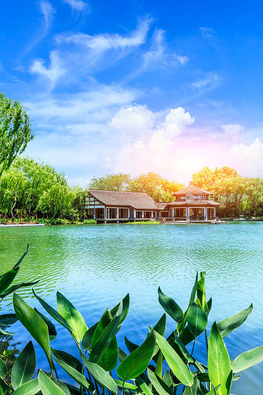 美丽的夏日杭州西湖花园