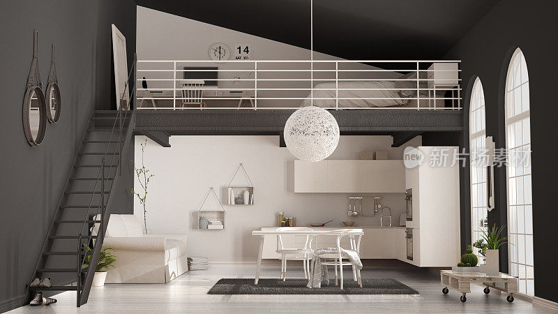 斯堪的纳维亚极简主义阁楼，一居室公寓，白色厨房，客厅和卧室，经典的室内设计