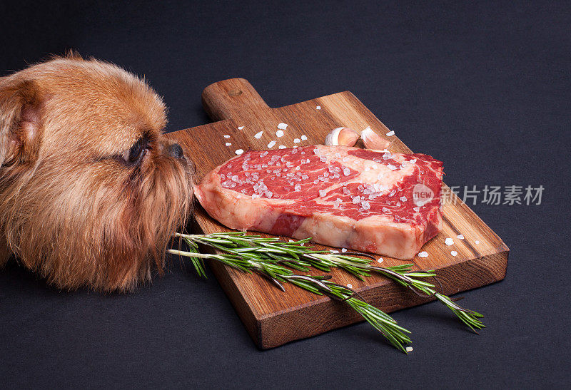 红色饥饿的狗试图从桌子上偷一块大理石肉。加香料的牛排放在木板上