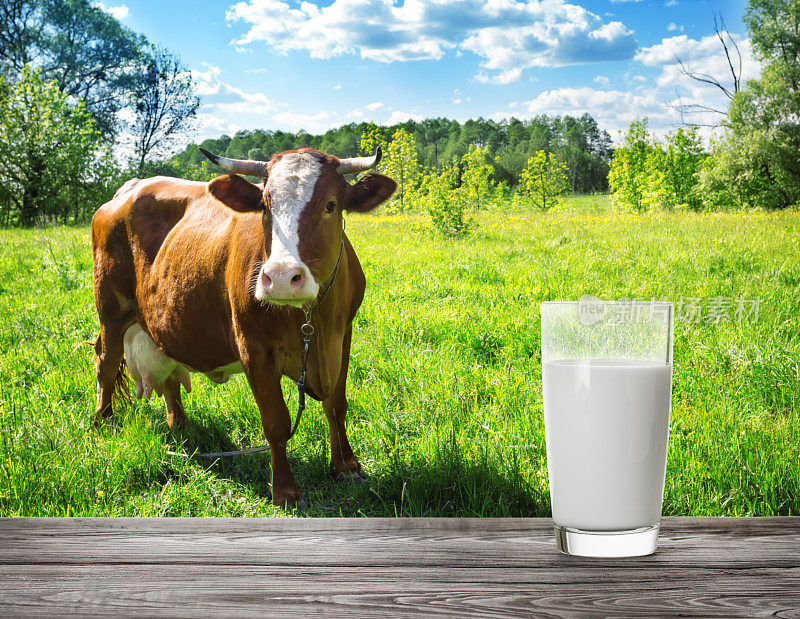 在棕色奶牛的草地背景下，一杯牛奶