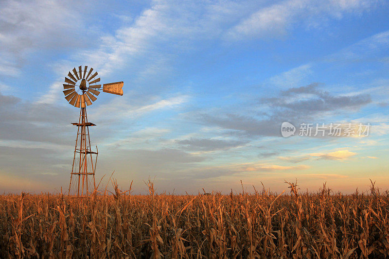 德克萨斯风格的西部风车在日落，阿根廷