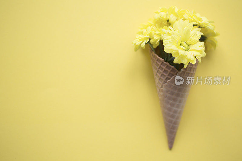 蛋卷冰淇淋和黄花