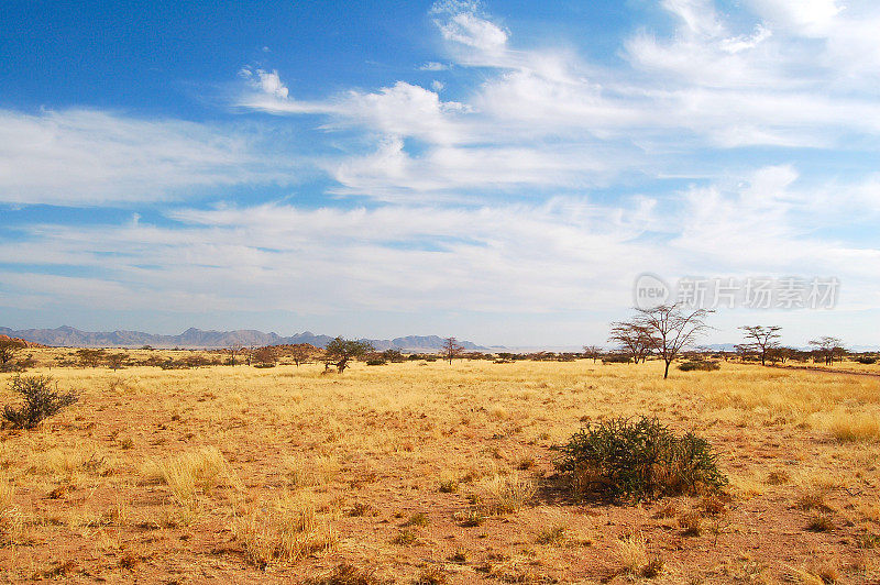 纳米比亚的干旱景观