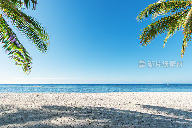 热带海滩，棕榈叶，海景，蓝天