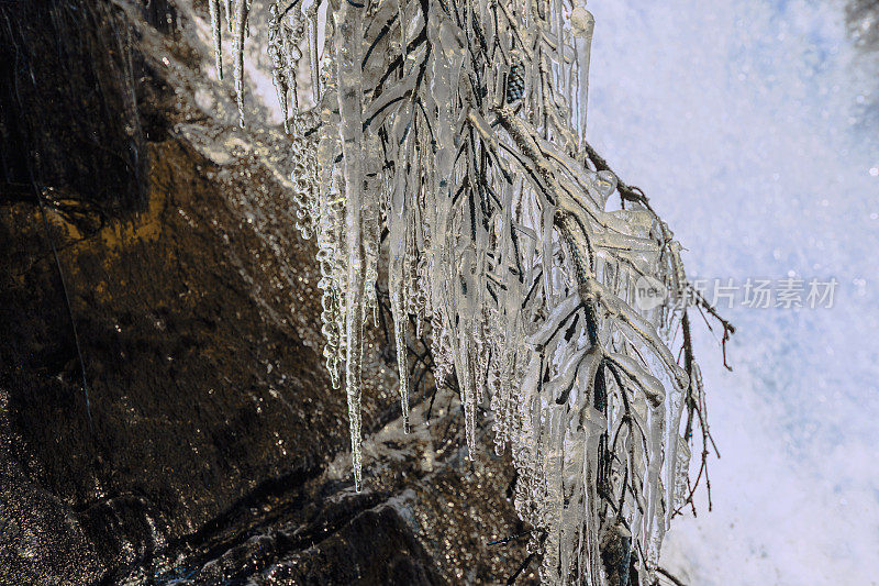沸腾的瀑布映衬着冰冻的树木