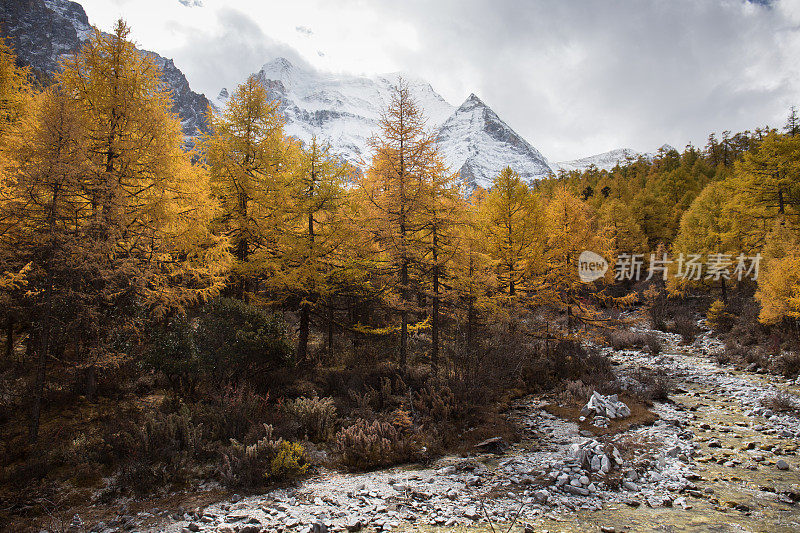 秋天的风景在亚丁山与河，中国。