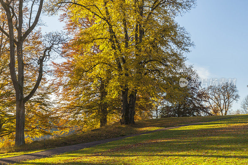 公园在一个阳光明媚的日子在秋天与长长的影子。