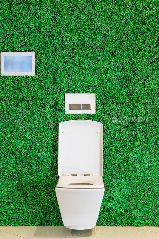 在公共厕所里，白色的马桶碗装饰在绿色的背景下