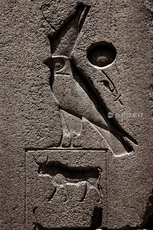 埃及神庙上的动物象形文字