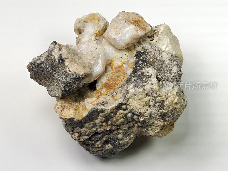 在美国开采的蛋白石原石宝石白色背景