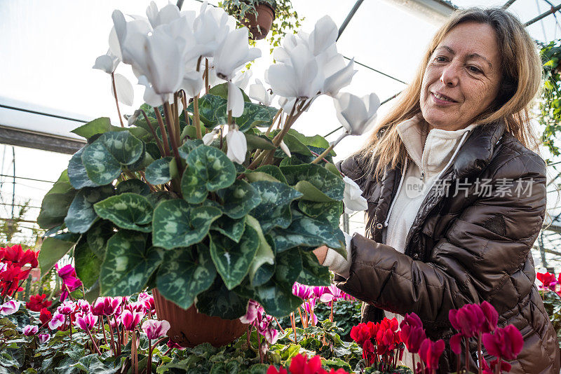 在温室里观察开花植物的成熟女人