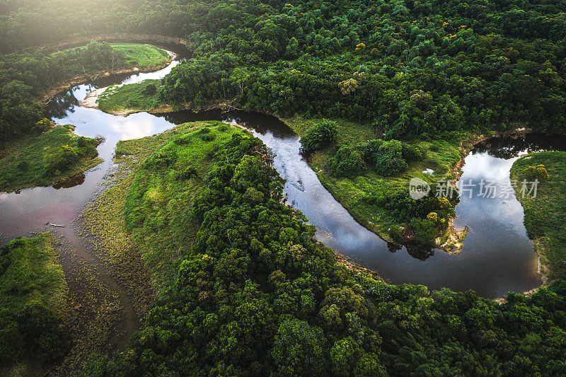 玛塔亚特兰提卡-巴西的大西洋森林