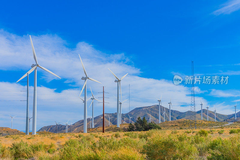 位于加州蒂哈查皮山区的风力涡轮机农场