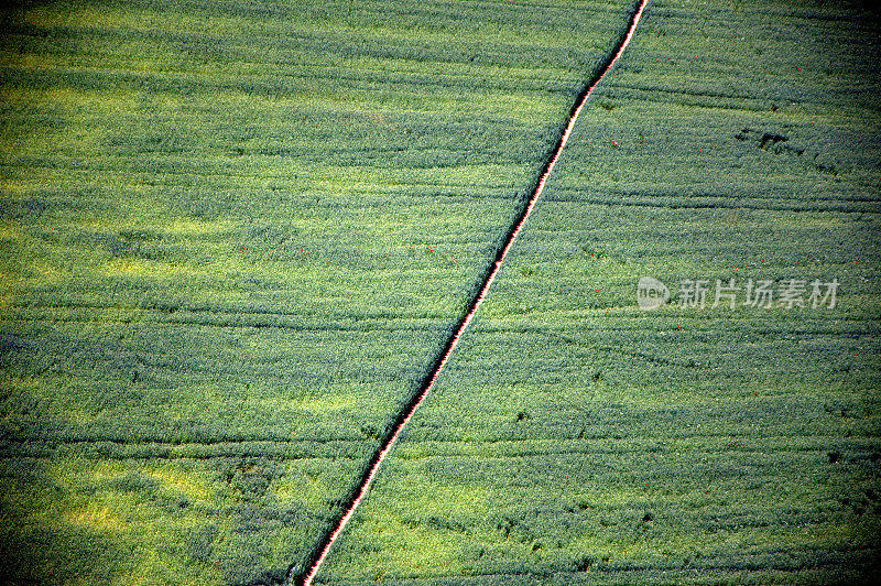 从直升机上看几何种植园