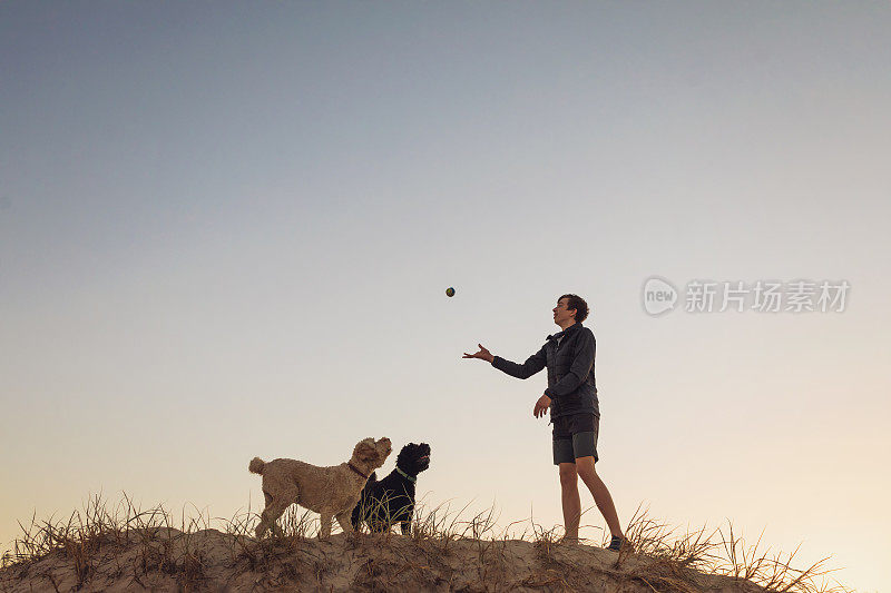 一个少年在日落时与他的狗玩耍