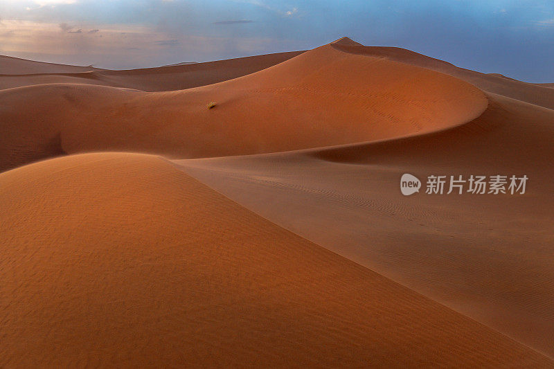 美丽的沙丘靠近米米德，沙暴，扎戈拉，摩洛哥，北非