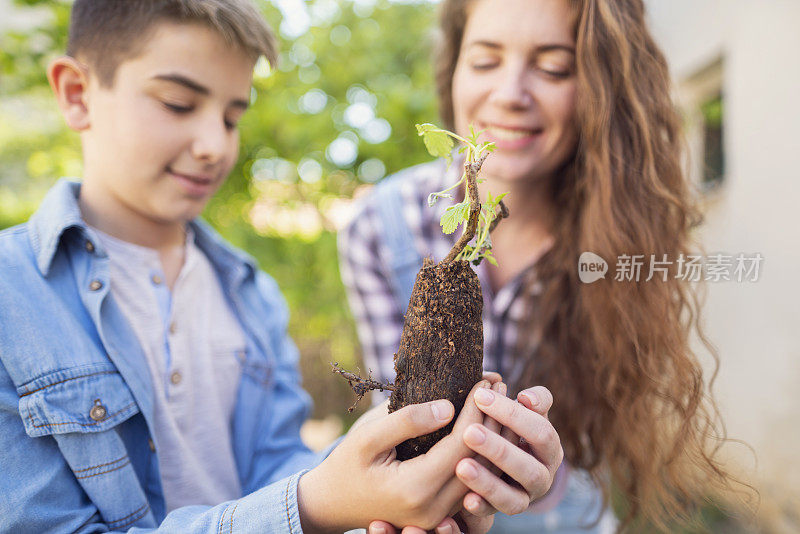 总有一天，小小的绿叶会长成茁壮的植物