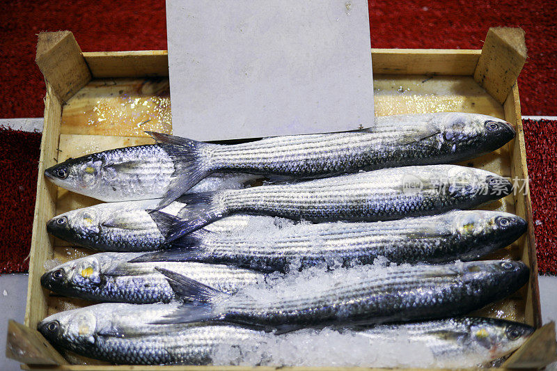 鱼市场和冰保护的新鲜鱼