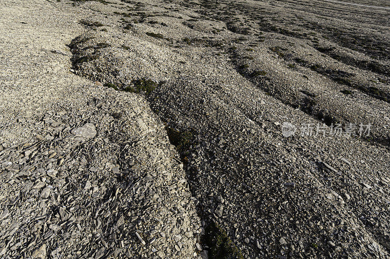溶蚀是与冻融活动有关的边坡质量逐渐流失过程的统称。沙流波瓣和沙流片是边坡破坏和地形的类型。冻融交替作用下土壤的大规模运动。成立