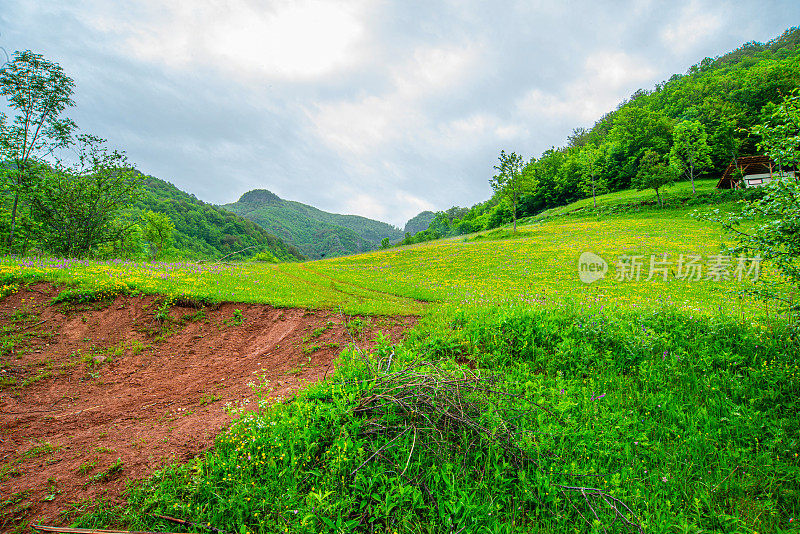 斯塔拉平原老山的绿草地