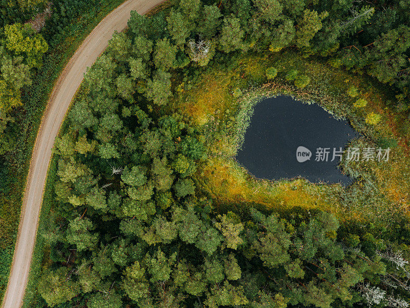 森林，树木，湖泊和道路的自然景观在瑞典无人机图像