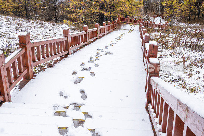 湖边树林里的木质楼梯上覆盖着积雪和脚印