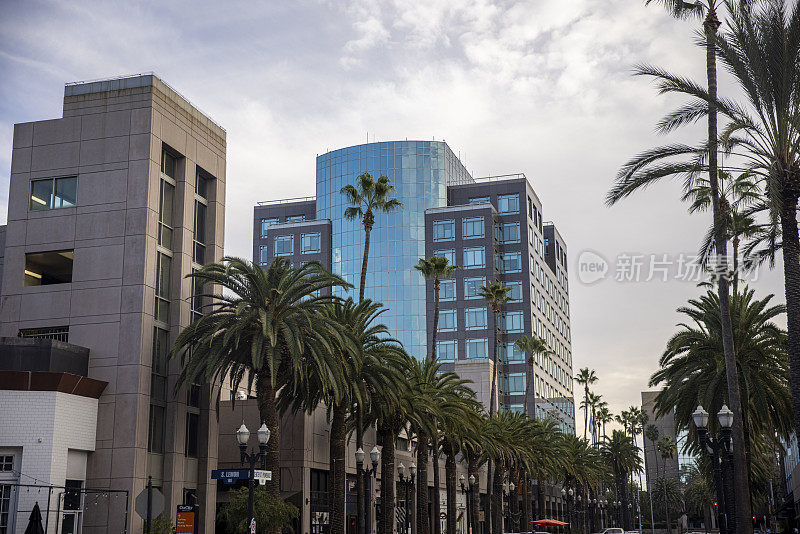 阿纳海姆市中心