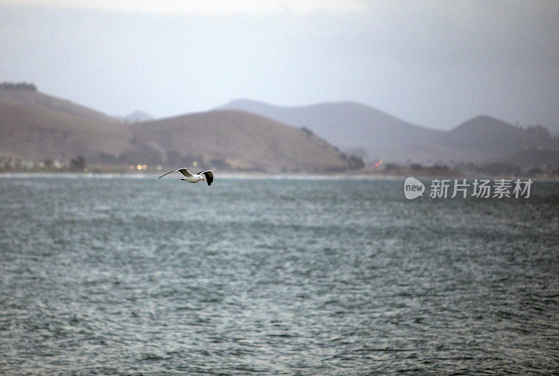 加利福尼亚海洋场景