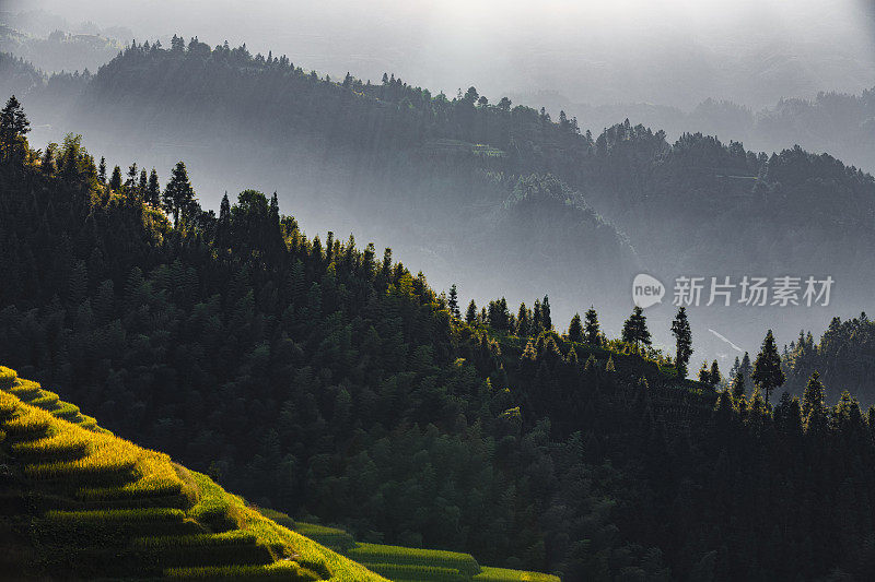 大寨梯田，清晨村落
在那儿,广西,中国。