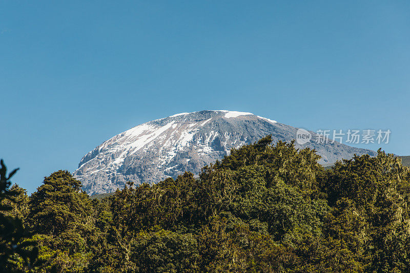 坦桑尼亚乞力马扎罗山国家公园的雪峰和雨林