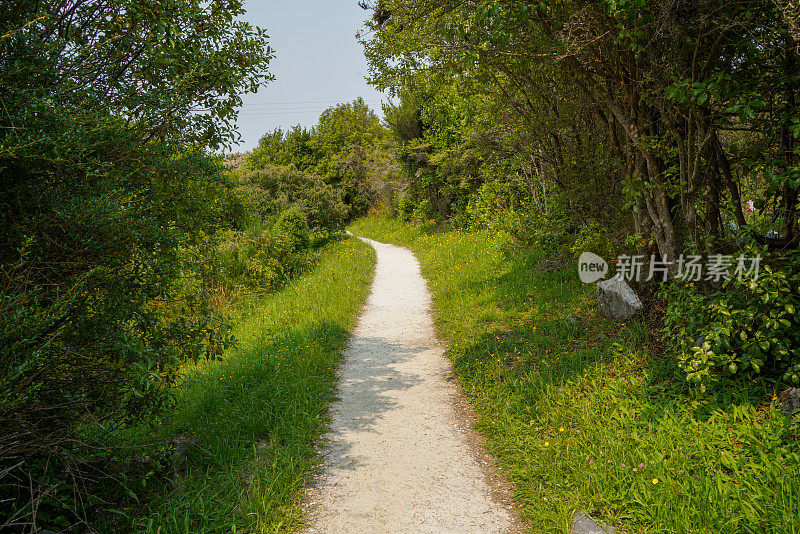 金湾观景，阿贝尔塔斯曼国家公园，Tākaka，新西兰