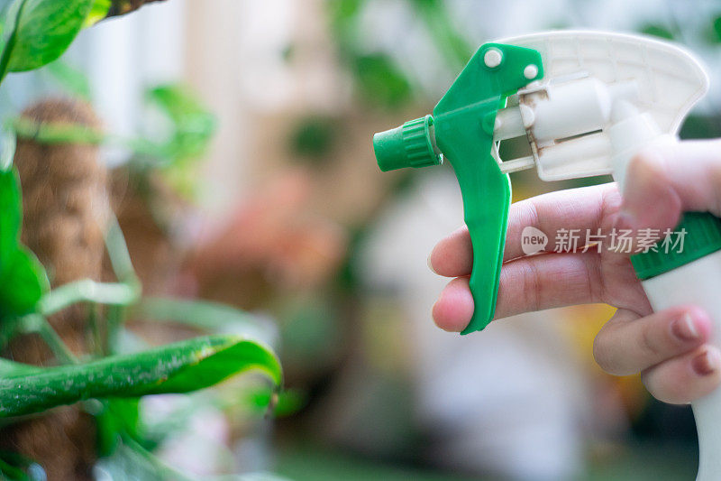 绿色喷雾瓶可用于对家居花园植物喷洒肥料、农药、水、抗真菌