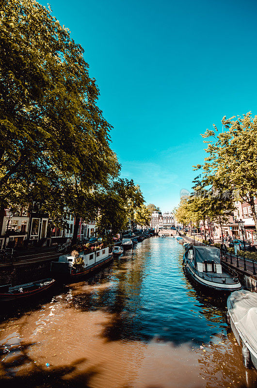 荷兰阿姆斯特丹运河两岸的游艇和汽车