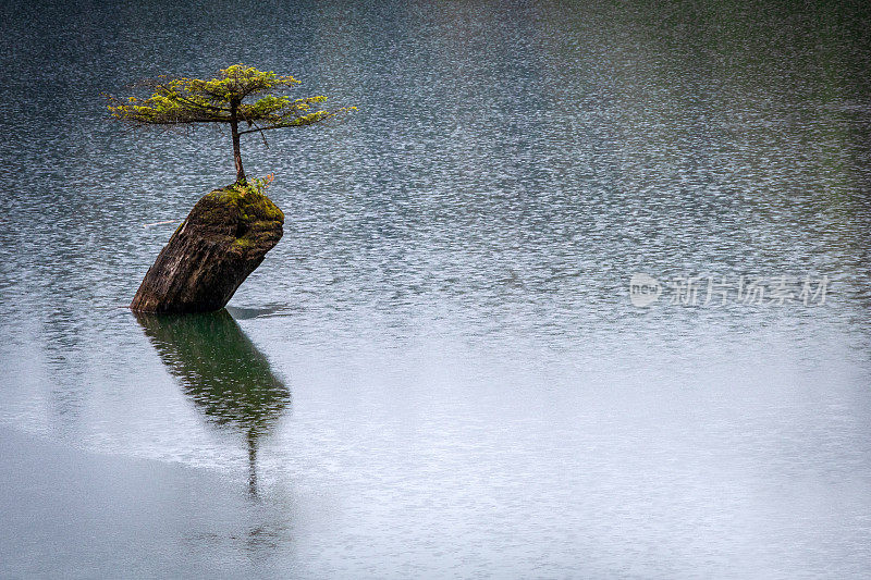 仙女湖上的雨滴