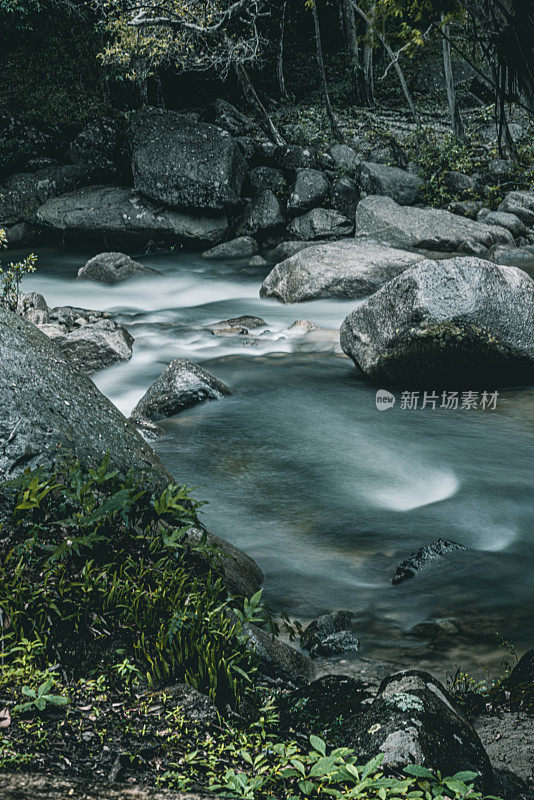 热带雨林河